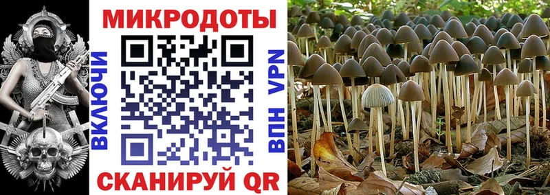 Псилоцибиновые грибы прущие грибы  сколько стоит  Динская 